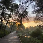 - Center 디비아커